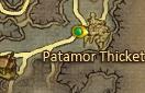 Patamor Thicket